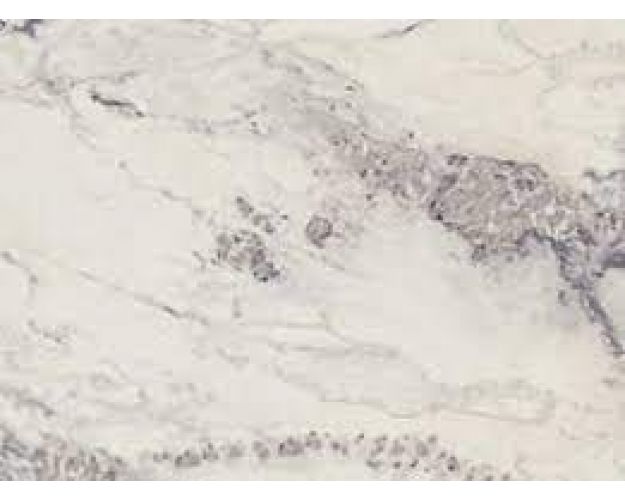 Мебельный щит Мрамор Греческий № 2384/S (3000*600*6) Мебельный щит Мрамор Греческий № 2384/S (3000*600*6)